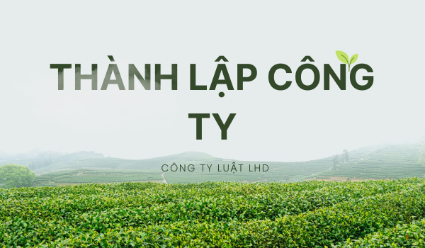 Thành Lập Công Ty với 108 mô hình hướng dẫn chi tiết