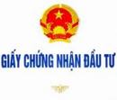 TƯ VẤN ĐẦU TƯ NƯỚC NGOÀI - tu van dau tu nuoc ngoai - THÀNH LẬP CÔNG TY 100 VỐN NƯỚC NGOÀI