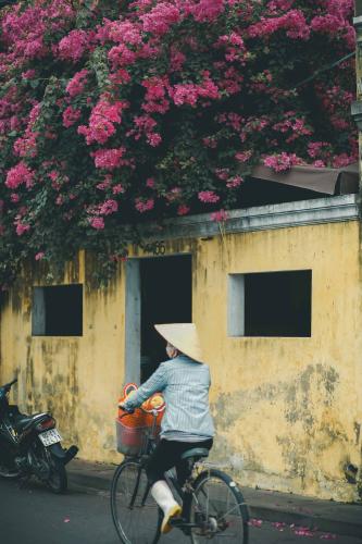 Dịch Vụ Làm DD Due Diligence tại Hà Nội