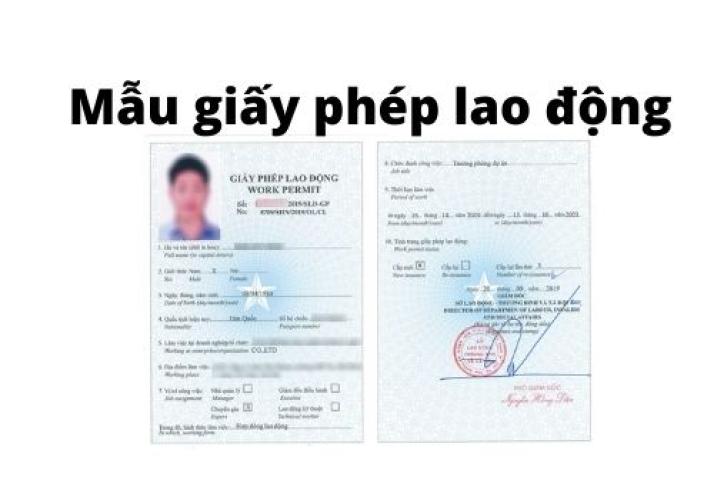 Giấy Phép Lao Động: Điều Kiện Và Thủ Tục Làm Nhanh Nhất