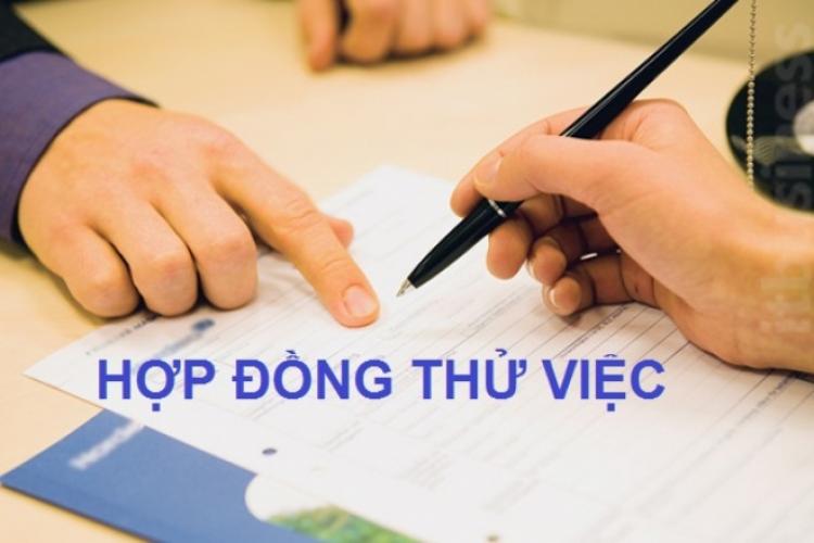 Hợp Đồng Lao Động Dưới 01 Tháng: Không Thử Việc Trong Mọi Trường Hợp