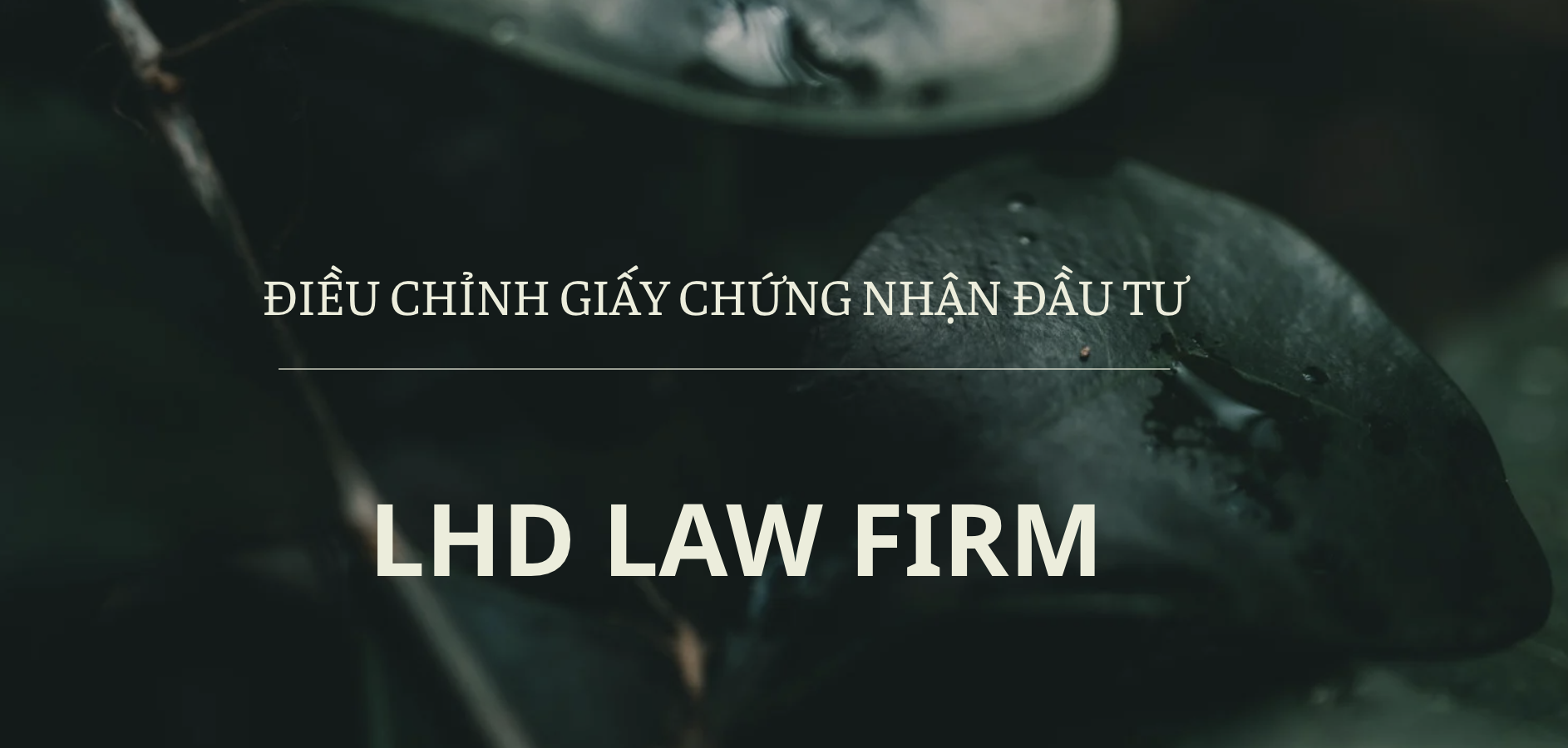 Điều chỉnh giấy chứng nhận đầu tư tại Bình Dương: Hướng dẫn thủ tục nhanh chóng 2025