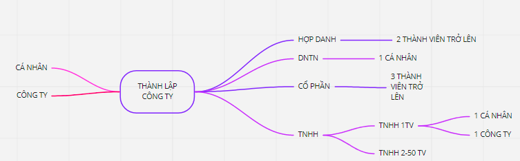 loai-hinh-doanh-nghiep