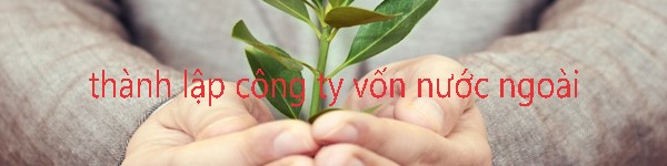THÀNH LẬP CÔNG TY VỐN NƯỚC NGOÀI TẠI VIỆT NAM